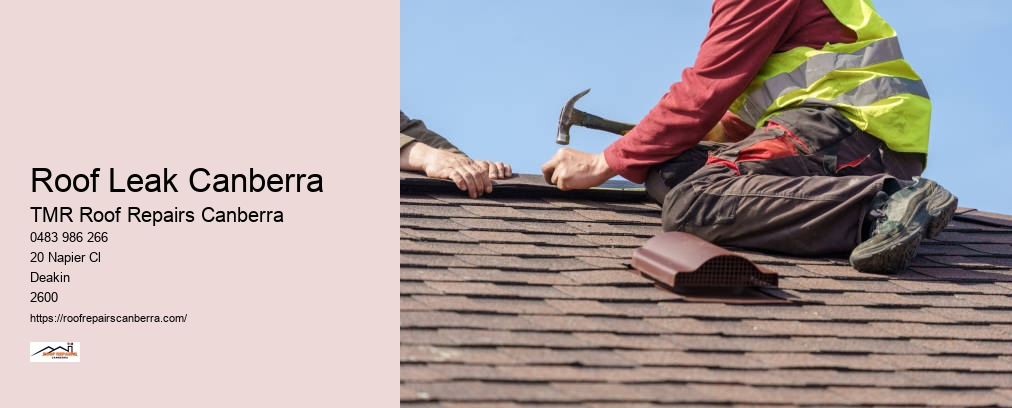 Roof Leak Repair Canberra